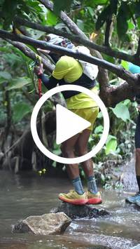 BIB:  <button type="button" onclick="openModal(27808936)" class="btn btn-primary btn-sm float-right" data-toggle="modal" data-target=".modal-high-quality">
                <i class="fa fa-download"></i> Download
                </button>